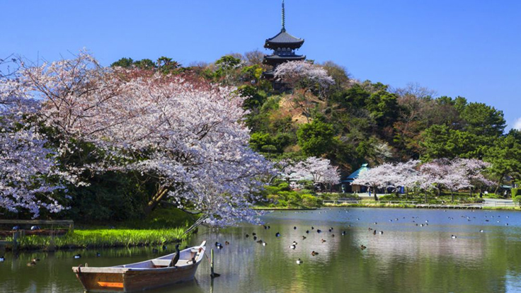 三渓園